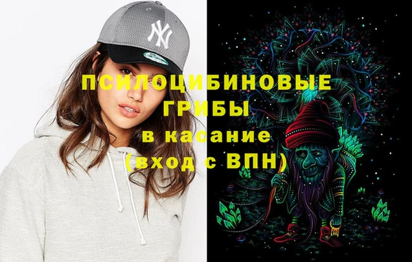 ГАЛЛЮЦИНОГЕННЫЕ ГРИБЫ Баксан