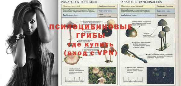 стафф Балахна