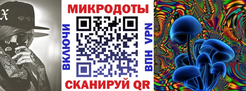 Псилоцибиновые грибы Psilocybine cubensis  Шарья 